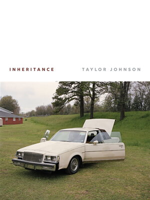 cover image of Inheritance